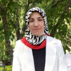 Dr. Öğr. Üyesi Hicret K. TOPRAK